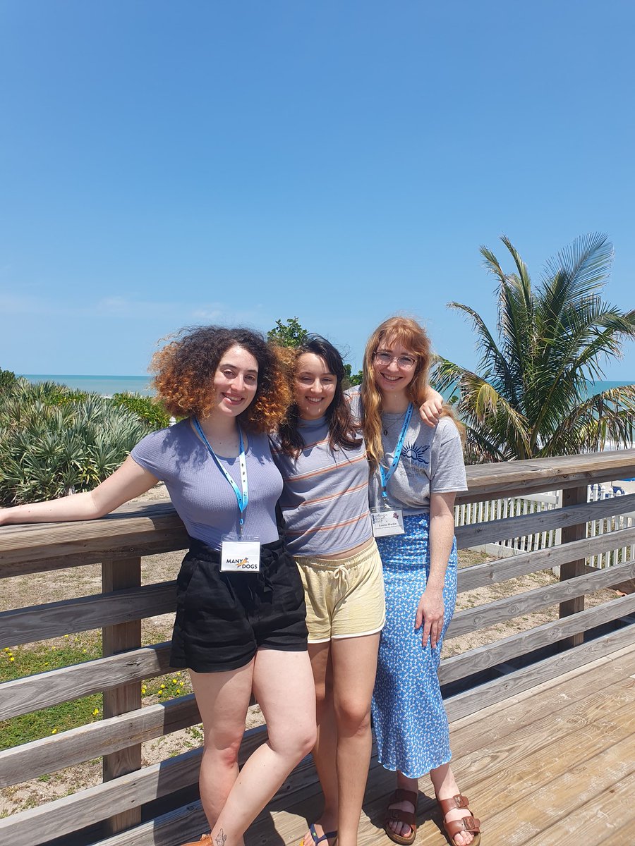 Louise Mackie tweet media