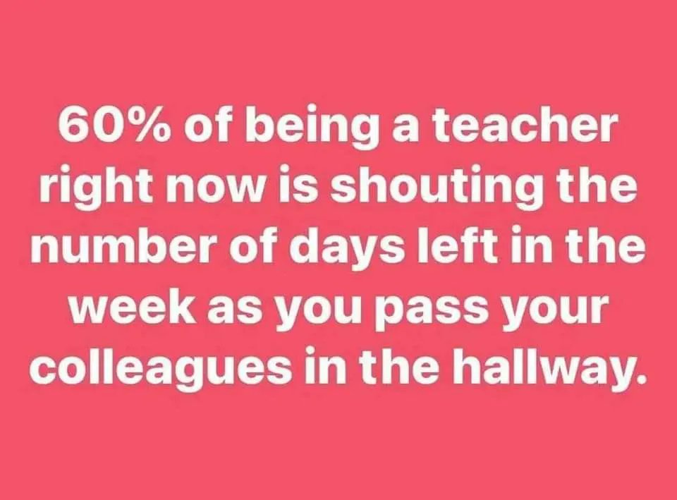 No lies detected. 💯