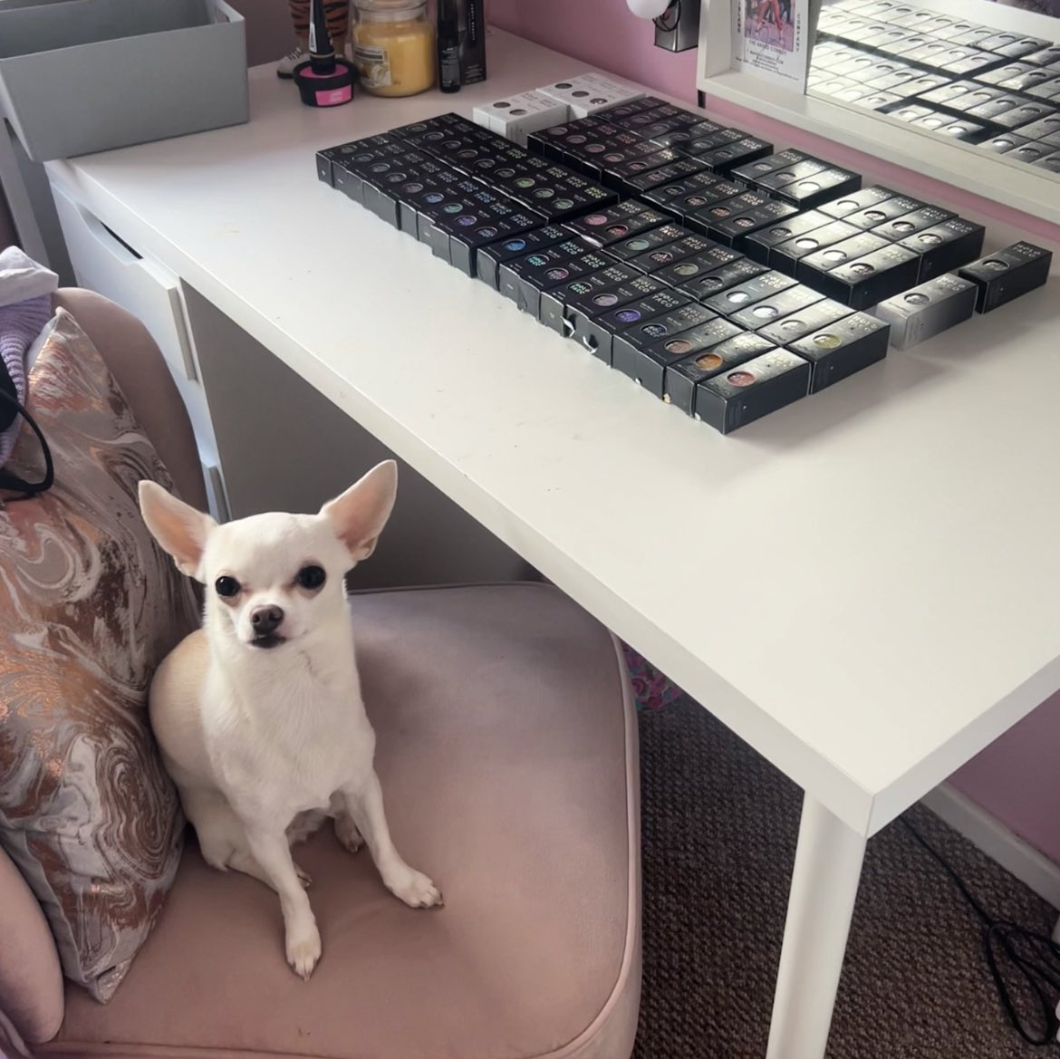 LauraHaythornthwaite tweet media