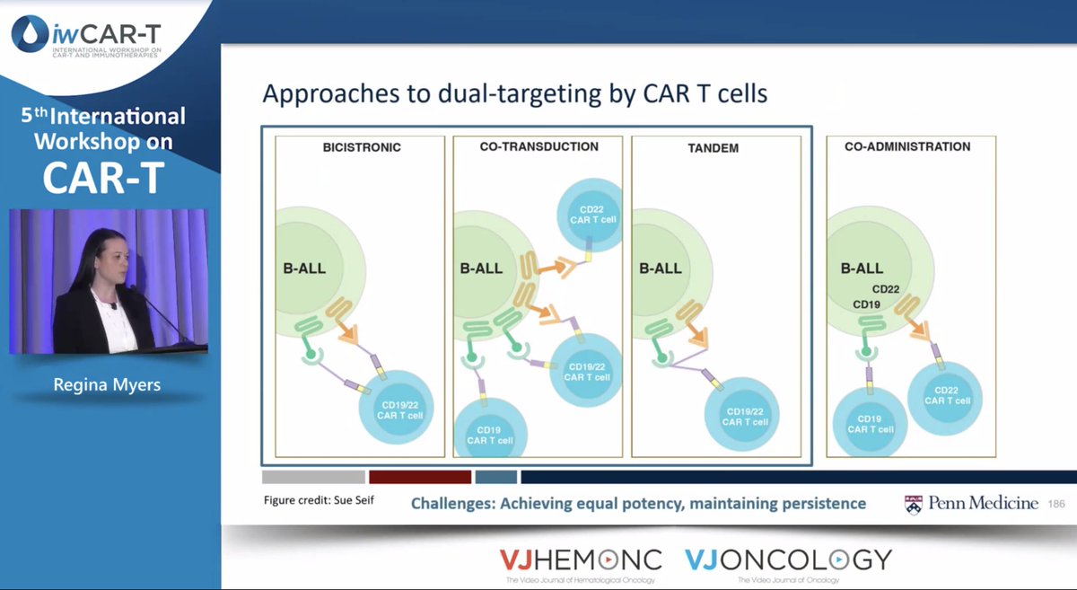 VJHemOnc's tweet photo. Next up at #iwCART23 @reginamyersmd of @ChildrensPhila talks on dual-targeting with CAR-Ts using a co-administration approach
@VJHemOnc @VJOncology #iwCART #CART #CellularTherapies #CARTx https://t.co/YcxRYHYaWF