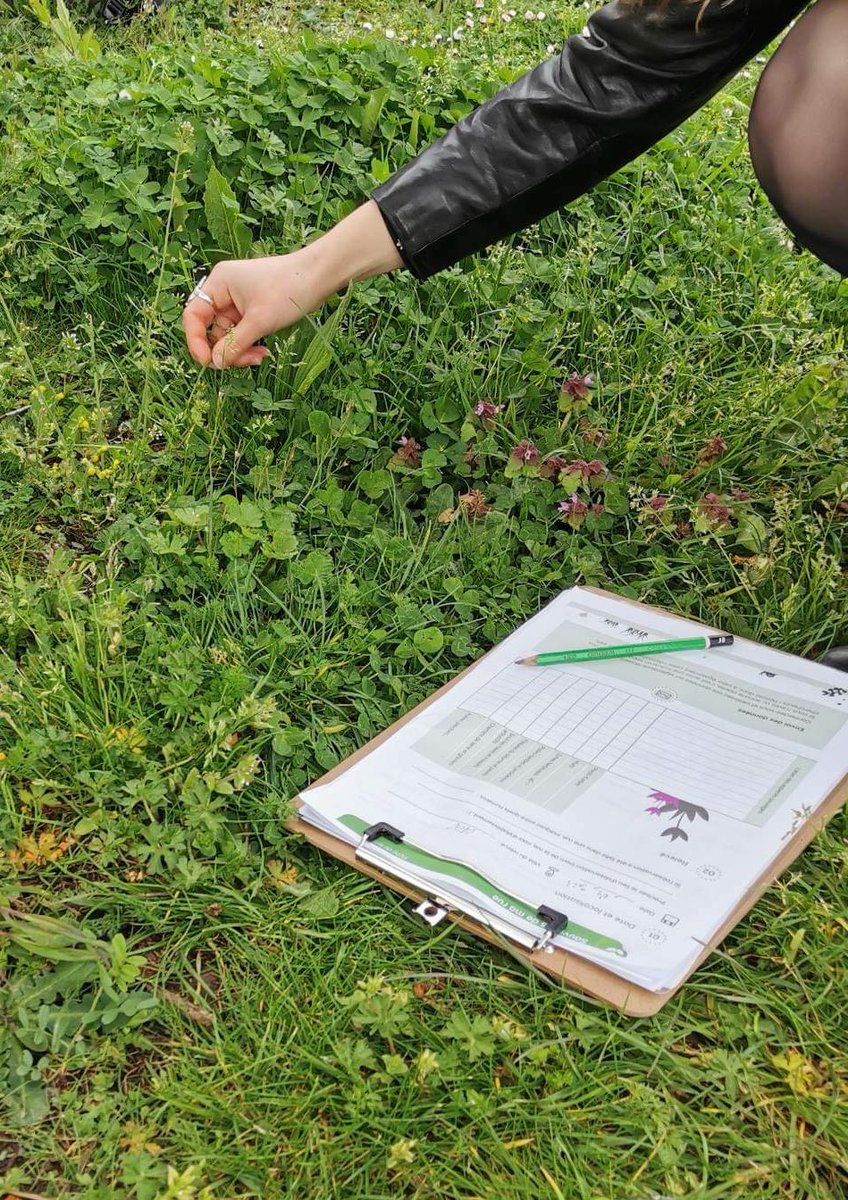 AyraudJ's tweet photo. 🌿 Merci à @TelaBotanica de nous avoir permis de mener à bien nos activités autour des Sauvages de ma rue au @TurfuFestival. Des personnes ravies et qui s’émerveille des plantes si proches d’eux. 🌱 https://t.co/onuFwOfH2d