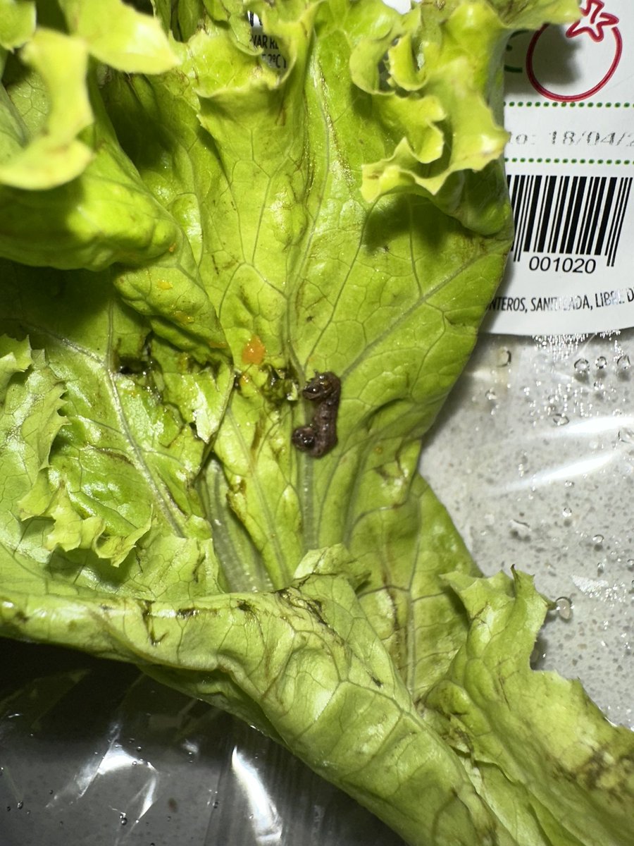 Gabylls's tweet photo. @carrefourarg compré esto en la sucursal de Billinghurst y arenales en el día de ayer. Algo que decir? Aguardo respuesta. 🤢 https://t.co/e7w9r0uh5r