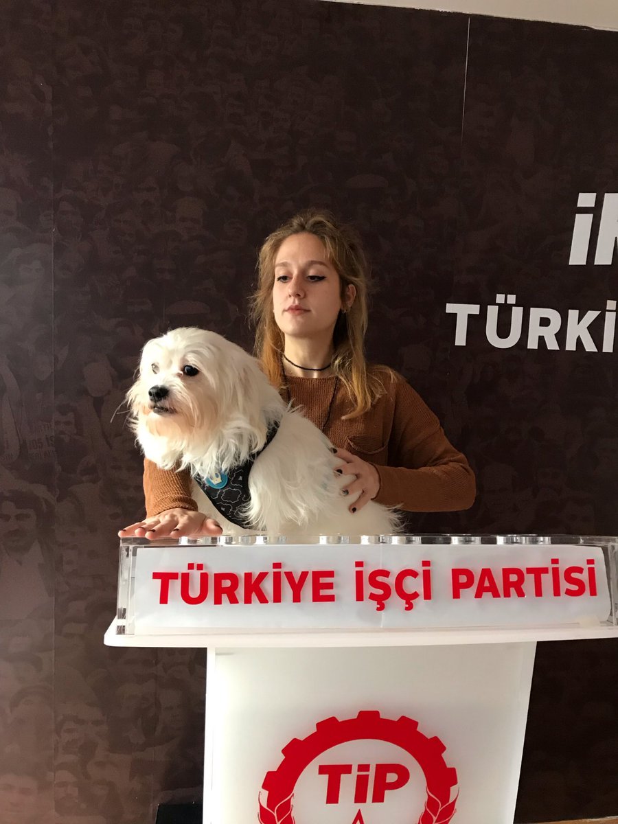 Mamalardan ÖTV’yi kaldıracağız. #TipSenin #tipseninsesin <a href="/tipgenelmerkez/">Türkiye İşçi Partisi</a> @KampanyaSenin @oylartipe