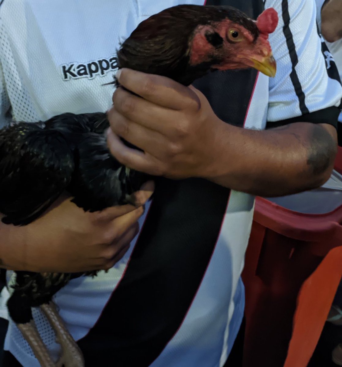 rodsilverio_'s tweet photo. Agora uma pergunta...

FODASE a partida de logo mais...

Quem ganharia em uma PORRADARIA SINCERA?????

Galo Pedro Raul ou Galo do Atlético? https://t.co/cuW1tAYYC0
