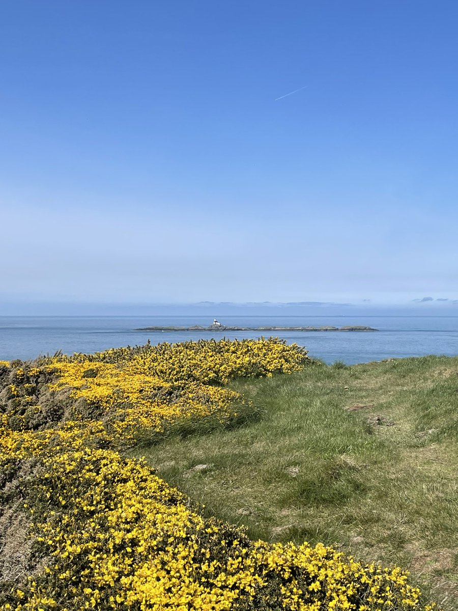 topfamilylawyer's tweet photo. First time we’ve done this walk at #CarmelHead on north west coast of #Anglesey #YnysMon. Lovely although that path up at the beginning (photo 1) was a challenge with my vertigo (hands, knees and bum at one point!).  Weather perfect! https://t.co/pxspQoDxDO