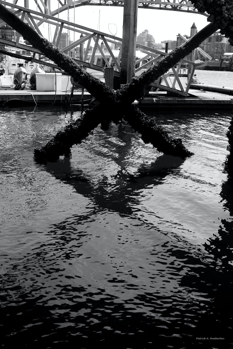 ArtByPemPhoto's tweet photo. Did I take this picture on a #SaturdayMorning ? Hard to recall; when you're on vacation they all feel like Saturday mornings. #SaturdayVibes #blackandwhitephotography #BuyIntoArt #wallartforsale #PrintsForSale #levelframes #dotpress #prints #art #homedecoration #retweetme https://t.co/xXsO75NQCy