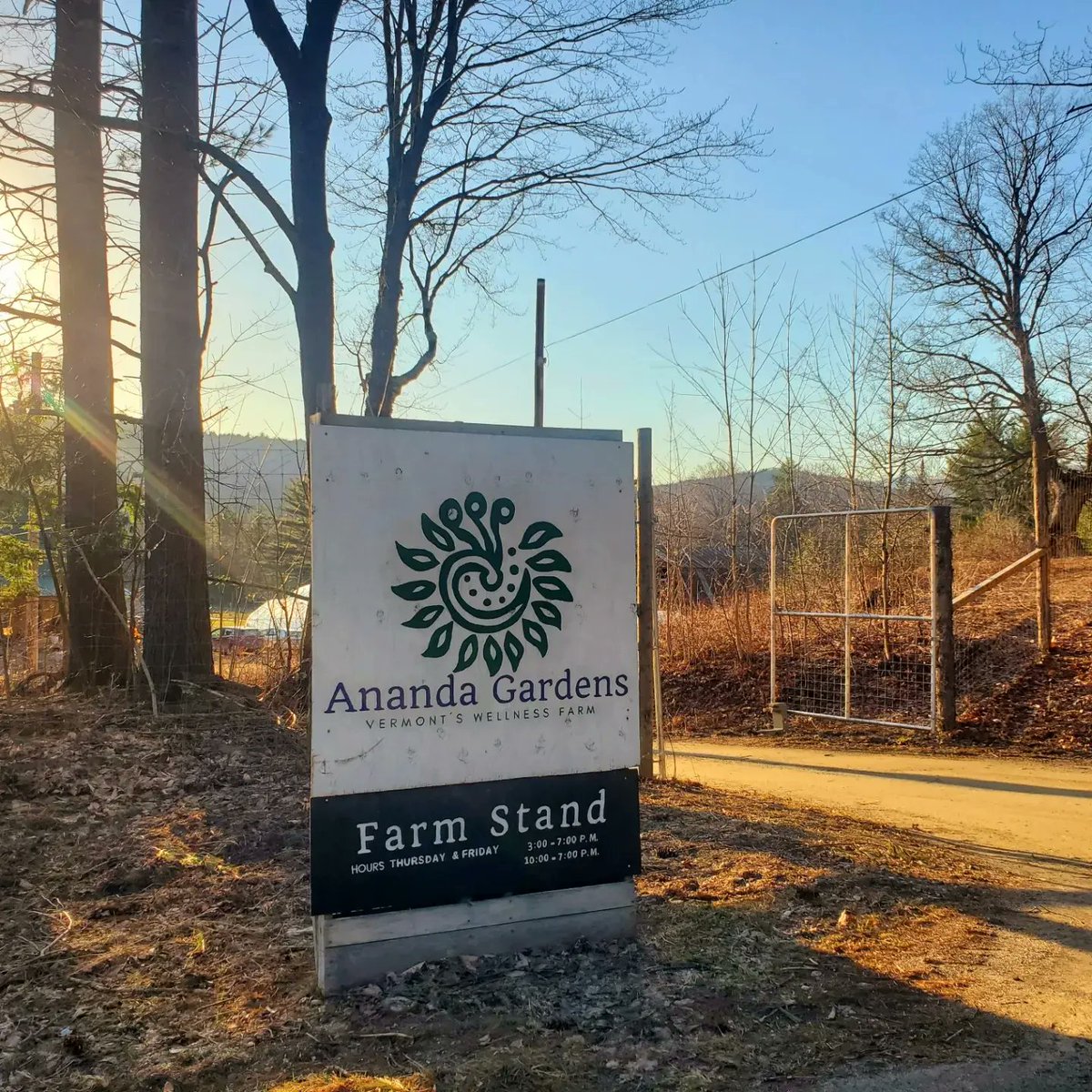 laurieannforest's tweet image. Pretty happy with the delicious quality of our first CSA haul from local Ananda Farms (on horn of the moon rd) Tofu veggie curry using Ananda carrots, potatoes, spinach and onions &amp;amp; Ananda microgreen salad. Such good food! #supportlocalfarms #organic #Vermont #vegetarian 💚🥕🧅🥔