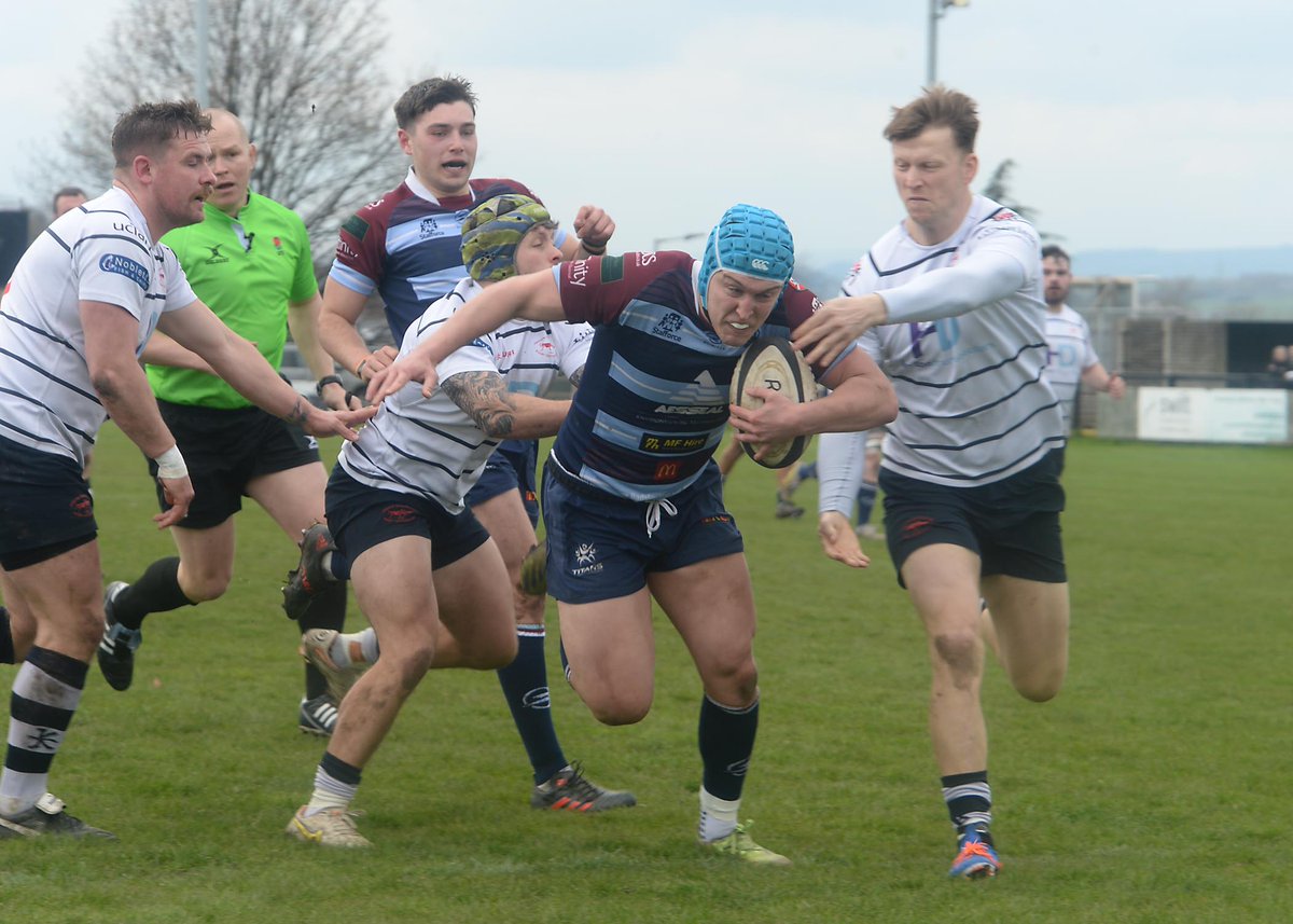 Advertiser Sport tweet media