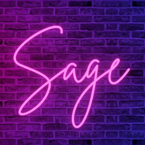 SageVouivre's tweet photo. Having now changed my name to better fit who I am, I am crowdfunding to replace my deadname neon sign. It would mean the world to me if you donate, share, or even like this post. Any bit helps, Thank you all for your love and support <3  https://t.co/6RBIVbeS8O https://t.co/oDsGY6IAF5