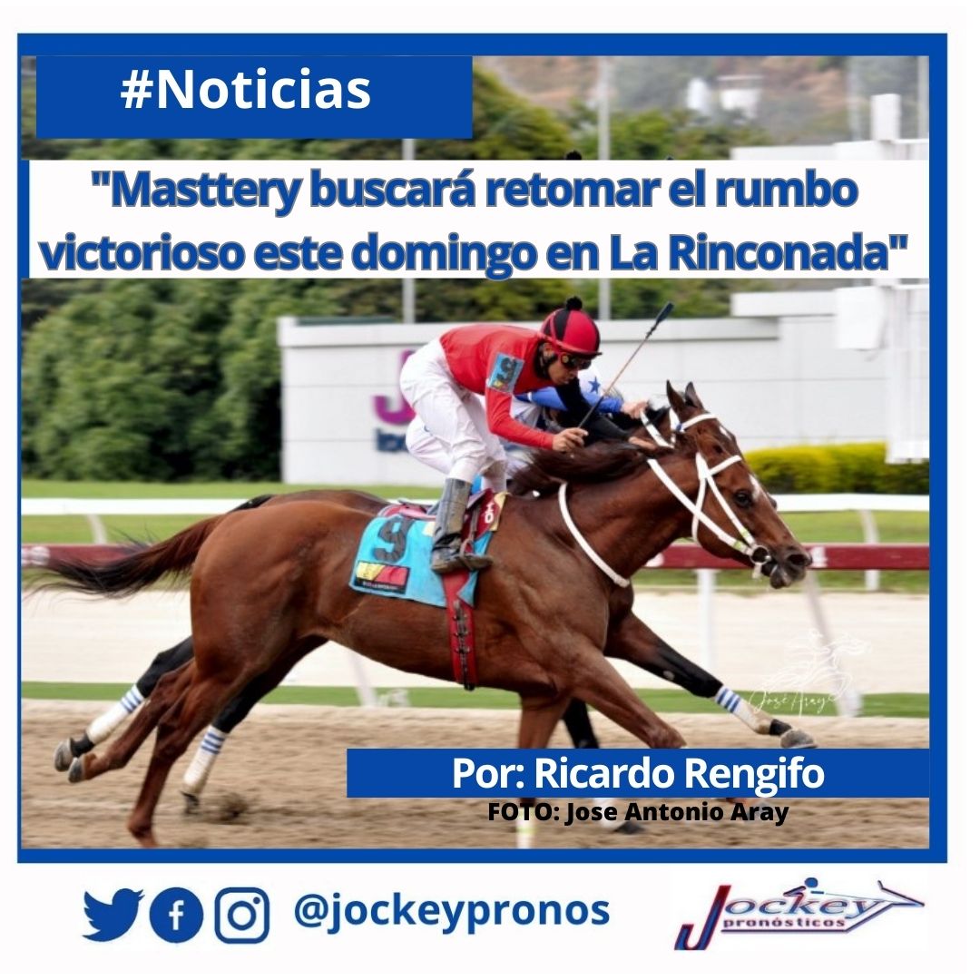 En nuestra sección de #Noticias, podras leer el artículo de Ricardo Rengifo "Masttery buscará retomar el rumbo victorioso este domingo en La Rinconada"
No te lo pierdas

👉bit.ly/3GKg3gF

#jockeypronósticos