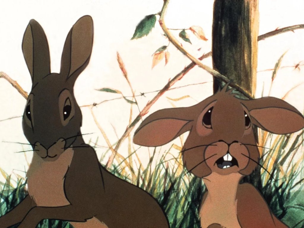 burntmillroad's tweet photo. @KazValeska SLEEPERS my god had no idea what it was about went in cold 😱 you ever seen WATERSHIP DOWN? Messed up my childhood lol https://t.co/rjU8ox5kYV