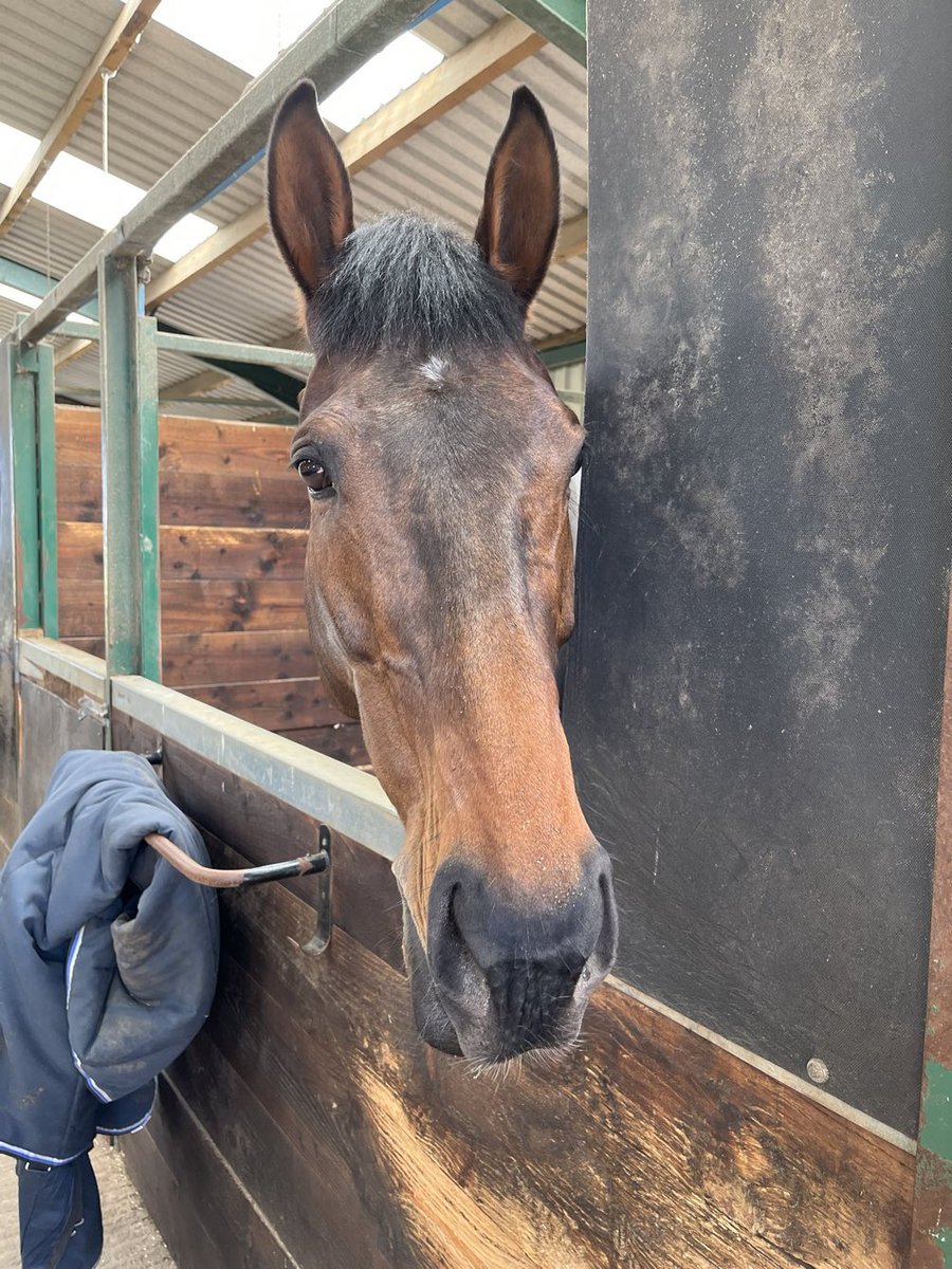 We sadly lost Hill Sixteen in today’s Grand National

Our thoughts are with Sandy Thomson &amp; connections ❤️