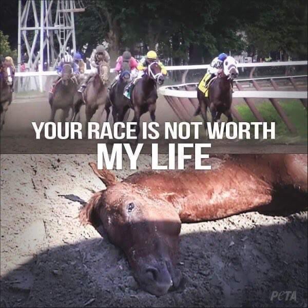 Britain_People's tweet photo. MATT HANCOCK: "What a race!"

Trust Matt Hancock to be on the side of the horse abusers.

- @domdyer70 

#GrandNational https://t.co/fHI1RUmxmD