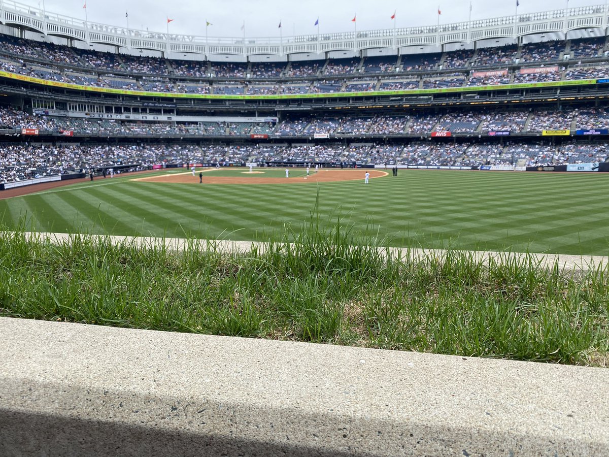 #RepBX #bleachercreatures #section203 #YankeesTwitter
