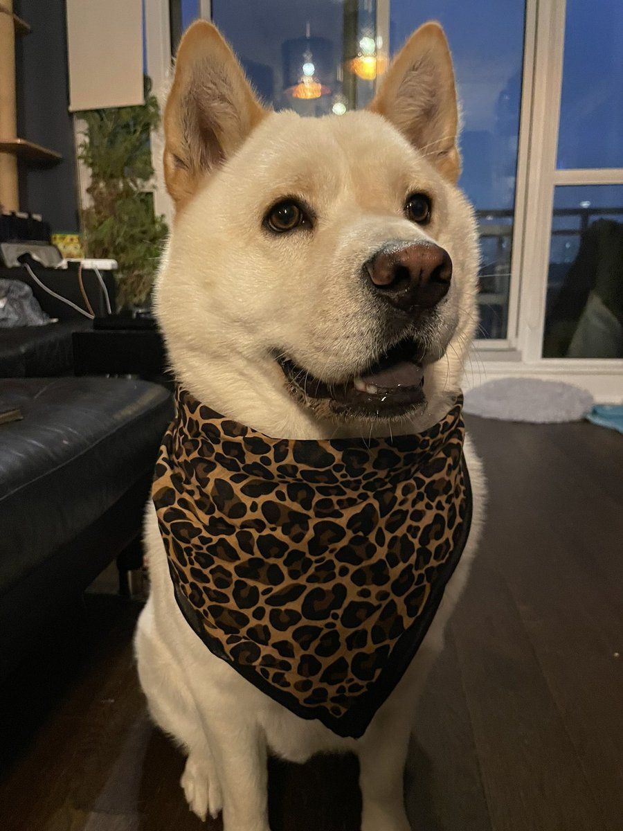 Rodylyn Ferry | Toronto Calligrapher & Engraver tweet media