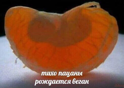 Дантес (@dantesdmitriy) on Twitter photo 