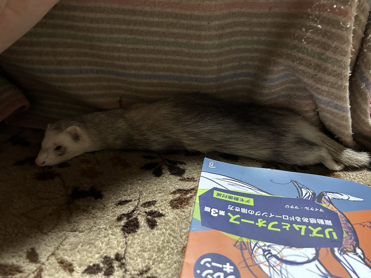 長い https://t.co/0h1p46WPGx