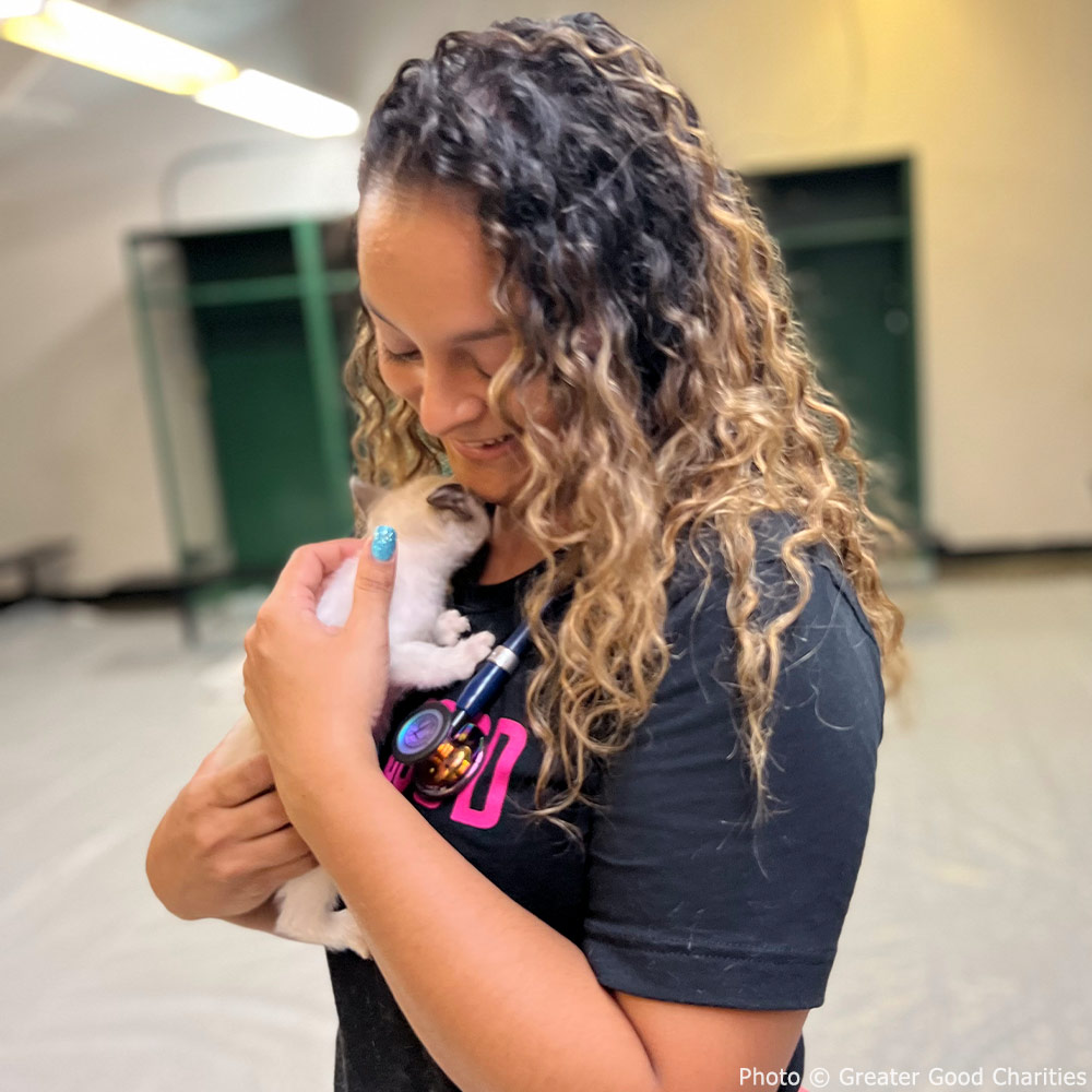 GreaterGoodorg's tweet photo. Our #GoodFix program is saving lives & setting communities up for the future! π The team has now spayed/neutered over 50,000 pets for free, sometimes performing up to 800 surgeries per day at our high-quality, high-volume clinics. ππ #AmplifyTheGood https://t.co/UoteNWImhR
