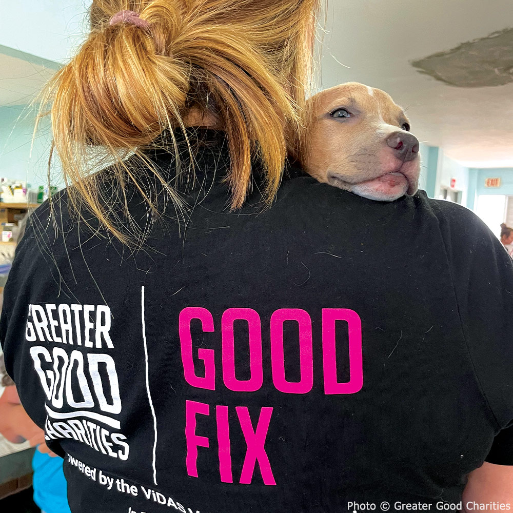 GreaterGoodorg's tweet photo. Our #GoodFix program is saving lives & setting communities up for the future! π The team has now spayed/neutered over 50,000 pets for free, sometimes performing up to 800 surgeries per day at our high-quality, high-volume clinics. ππ #AmplifyTheGood https://t.co/UoteNWImhR