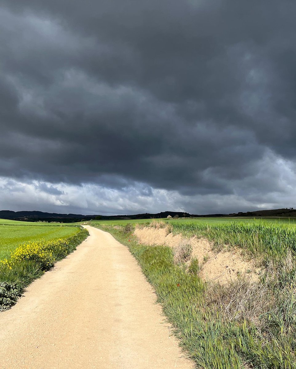 Pilgerurlaub's tweet photo. Und von Los Arcos nach Logroño - wie die letzten Tage auch mit leichtem Regen zwischendurch #französischerJakobsweg #caminofrances https://t.co/cGtIVf8Fez