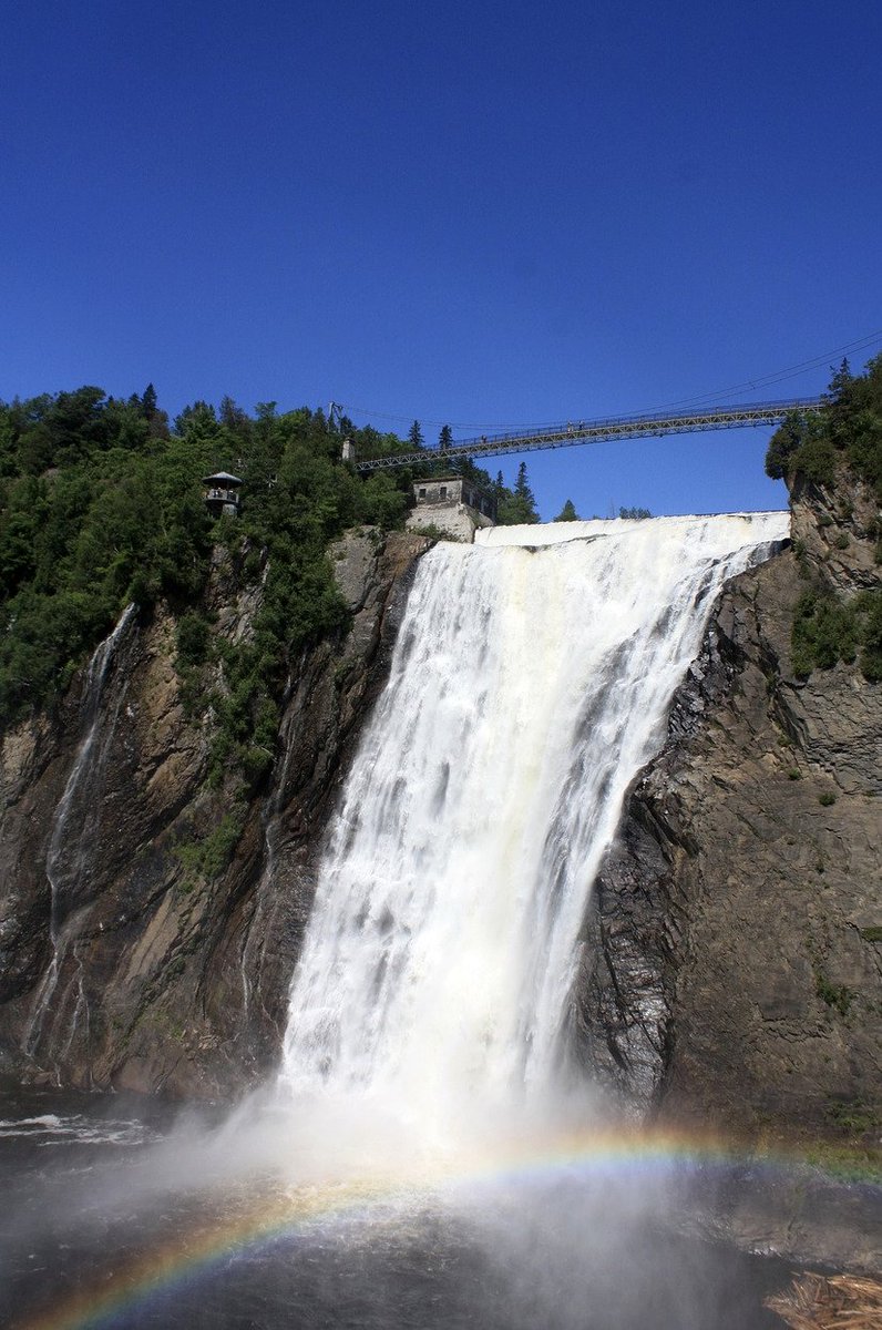 OMLTA/AOPLV tweet media