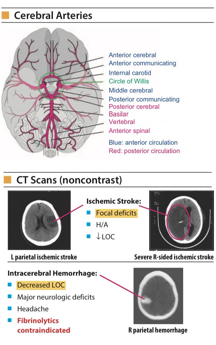 عَالَم طِبْ الَباطِنَة✨ tweet media