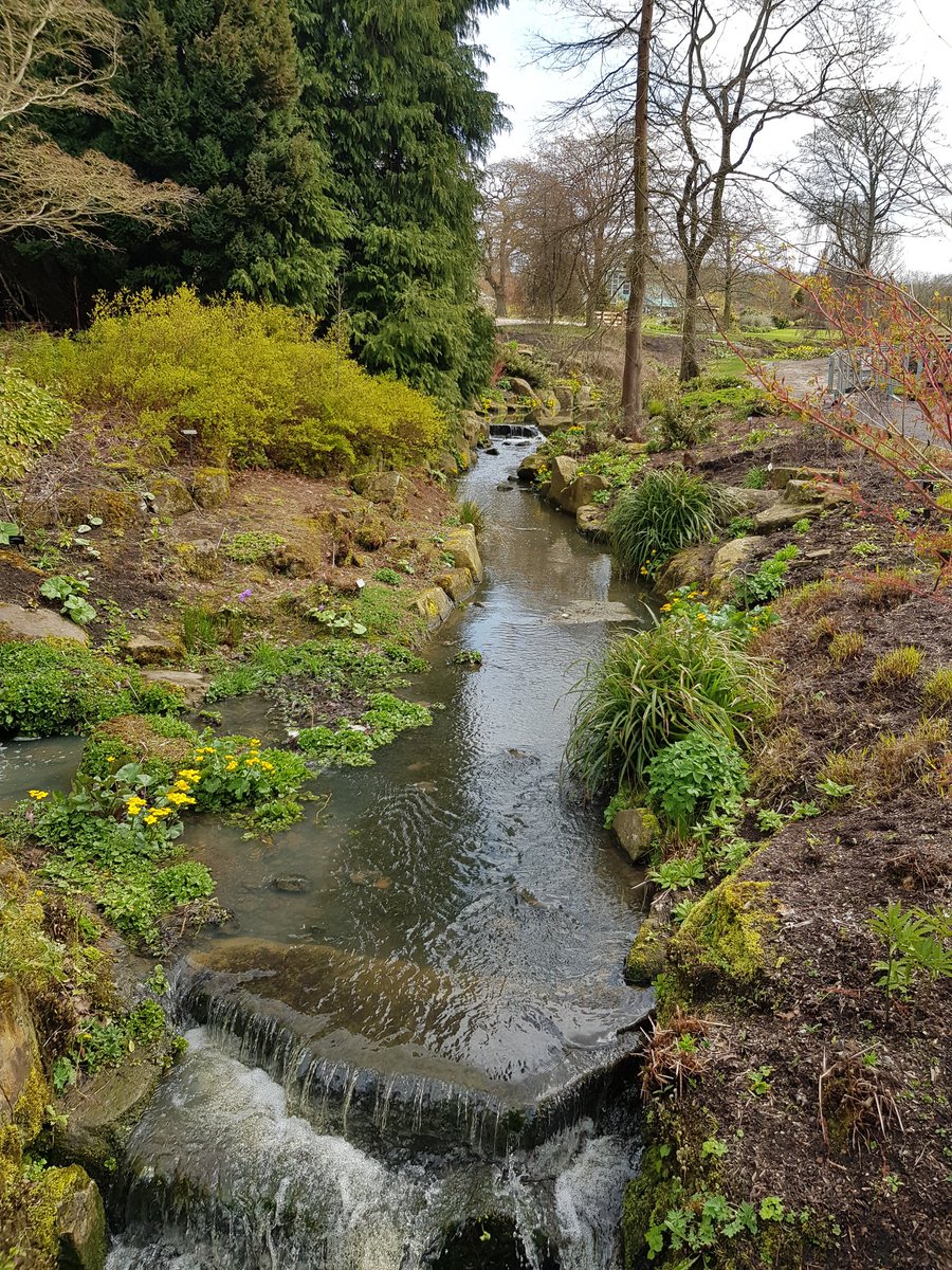 dave_willo86's tweet photo. Nice day out at @RHSHarlowCarr today for my first @YorkshireBloom training session as I look to become a judge for the 2023 season! π
#yib #yorkshireinbloom #rhs #rhsharlowcarr #horticulture https://t.co/BQb8Xn1leN
