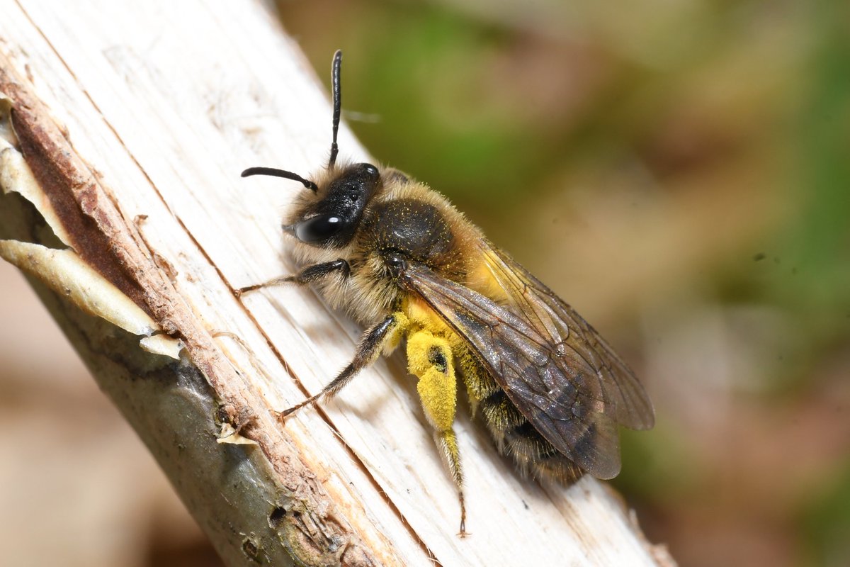 Liam Olds tweet media