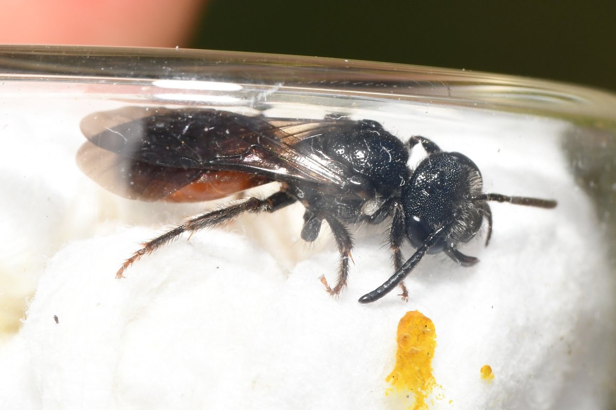 Liam Olds tweet media