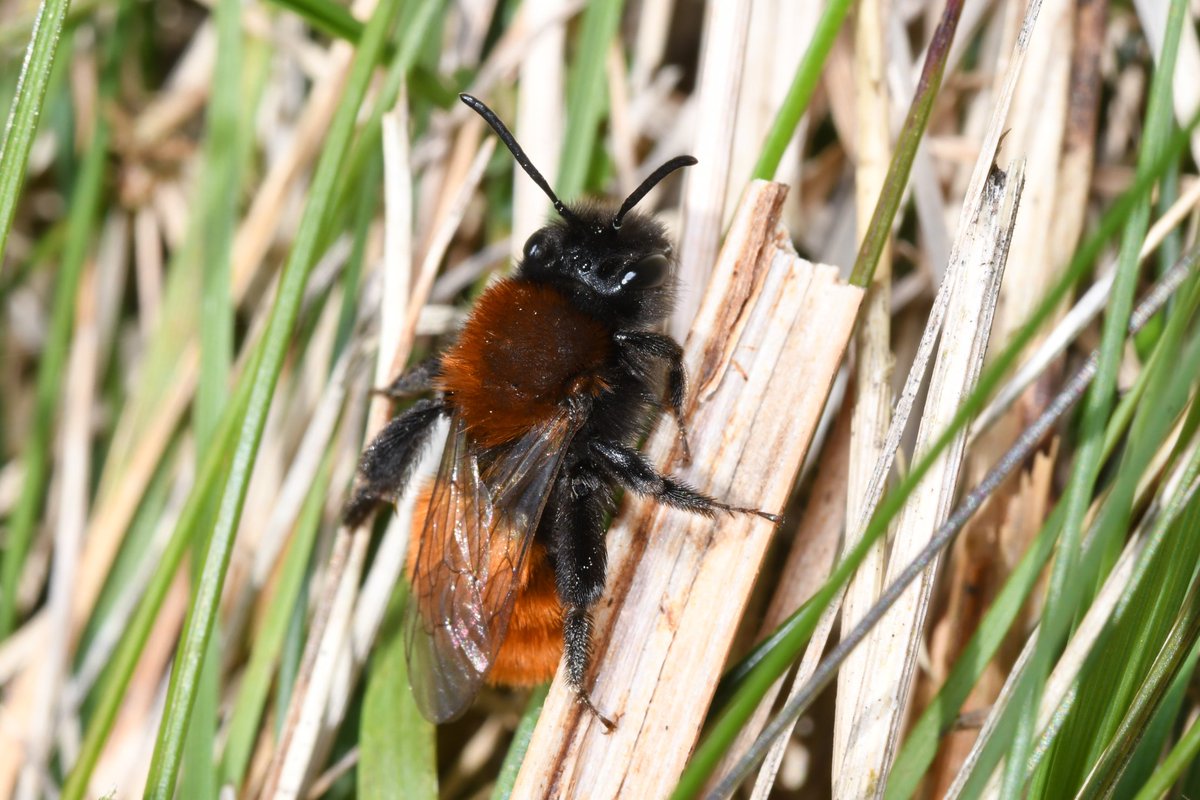 Liam Olds tweet media