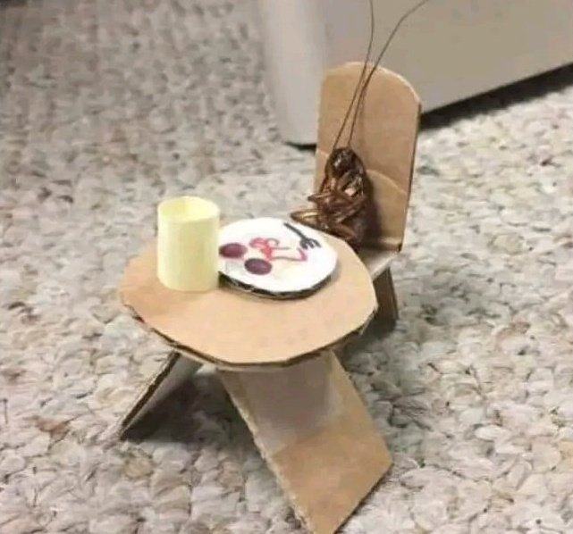 When you switch on the kitchen light at 3am