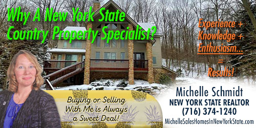 Mishelly1234's tweet photo. Why A New York State Country Property Specialist? It makes sense to call Michelle a New York State country property specialist because when folks search on that, she comes up. But the reality is, she has a secret weapon... MORE: https://t.co/ggtiwVmguo #newyorkrealtor https://t.co/uj7I1Pvdz4
