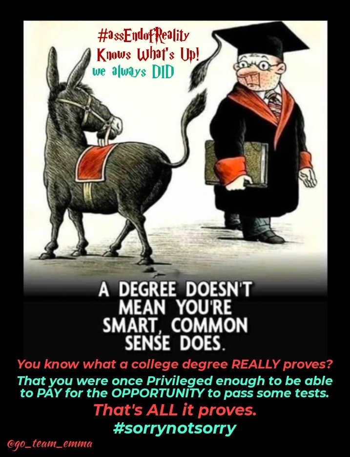 BagLadyWisdom~Emma's House tweet media