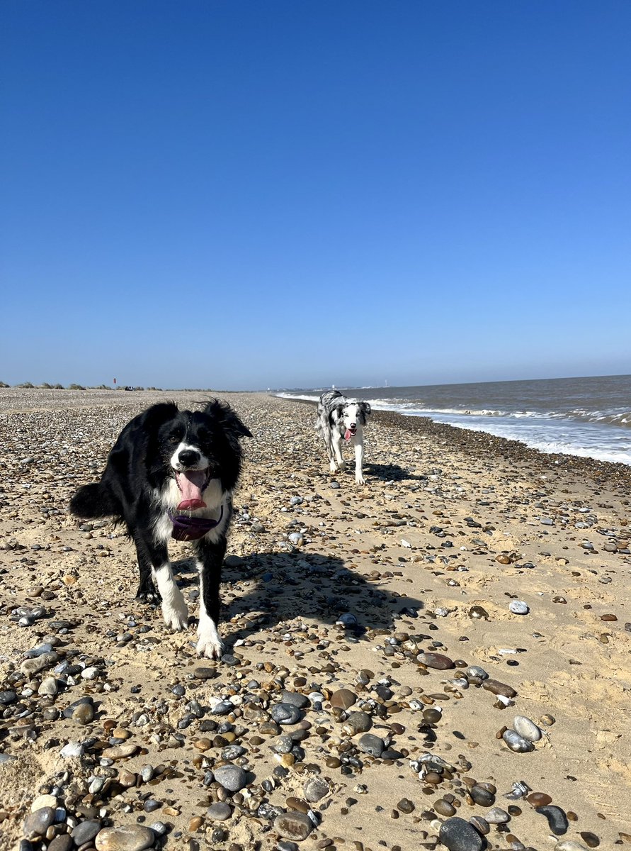 Hello sunshine ☀️