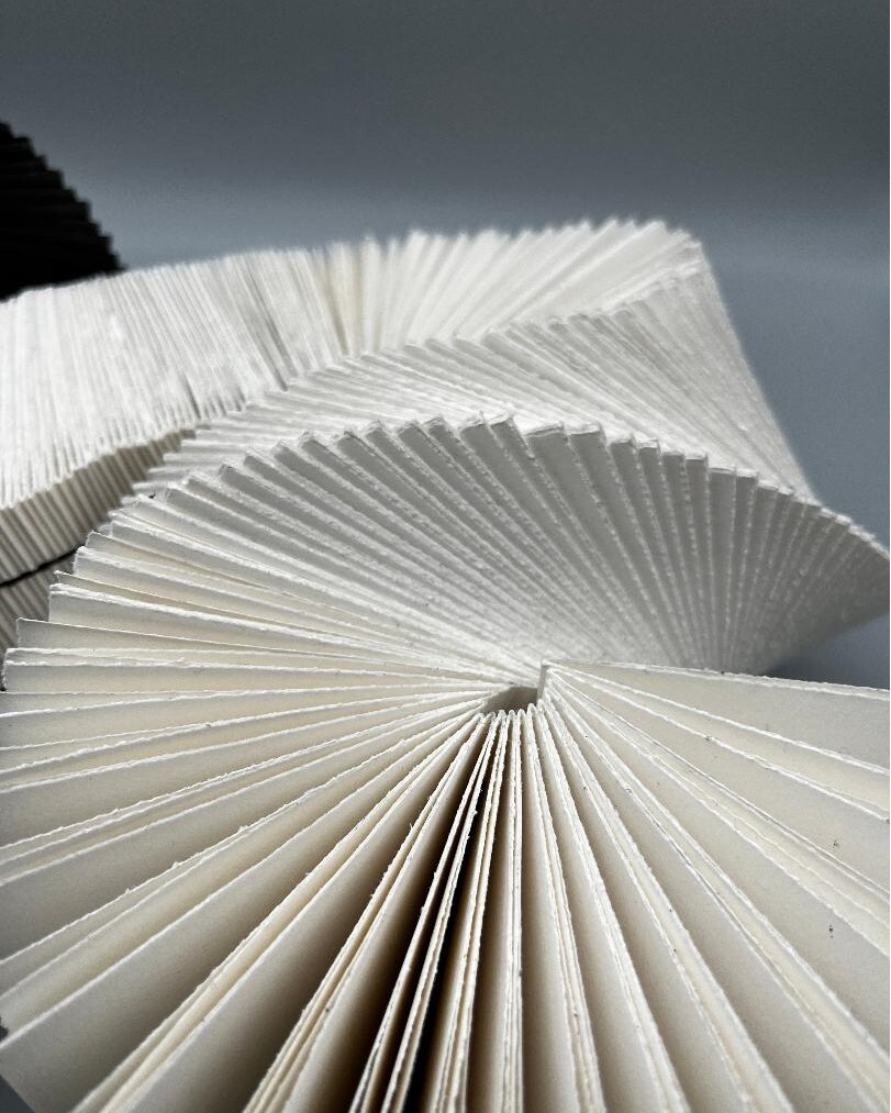 New for 2023! York College 3D Design and Creative Practice Student Showcase artist Hatty Fleetham combines York's architecture and street names to create a twist on traditional handmade books. They seek to raise awareness and resurrect the tradition of bookbinding.

Hatty wi…