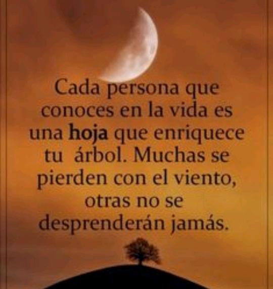 Hay personas que te apoyan a pesar de las dificultades y  otras se van con el tiempo por eso hay que valorar lo que Dios nos da en la vida ✨☺️