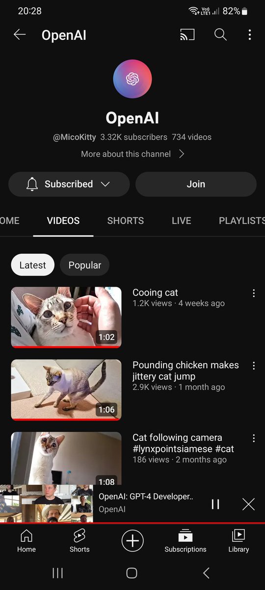 MicoKitty tweet picture