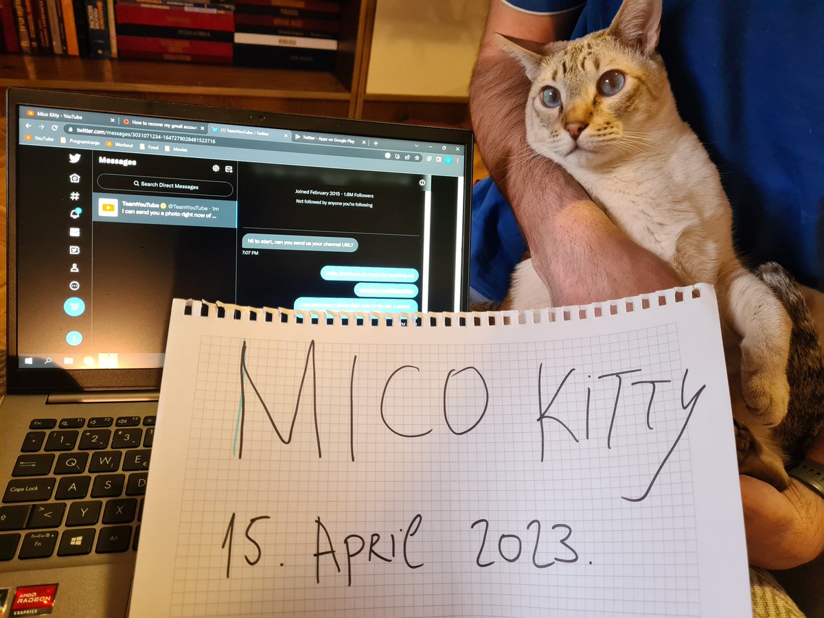 MicoKitty tweet picture