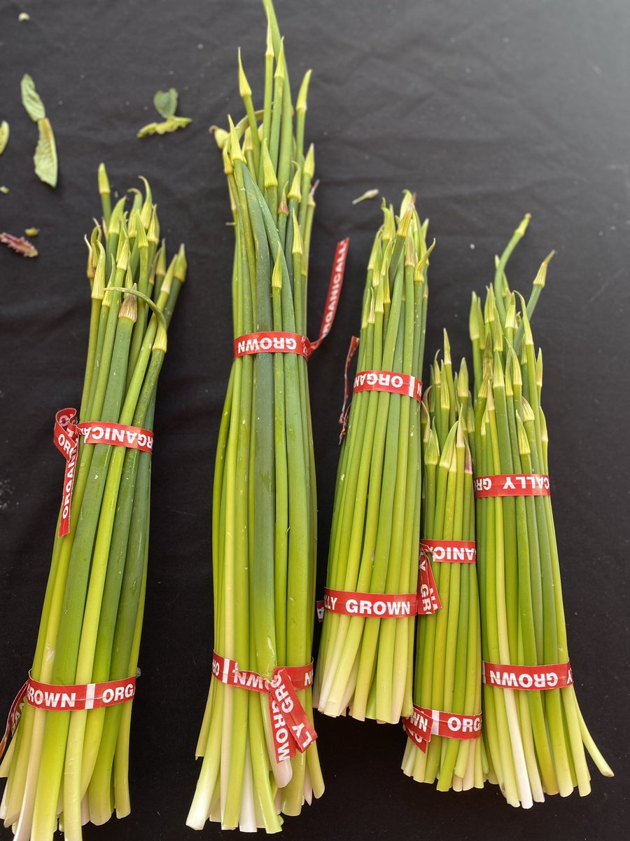 Cindy Sridharan on Twitter "Springtime visits to the farmer’s market