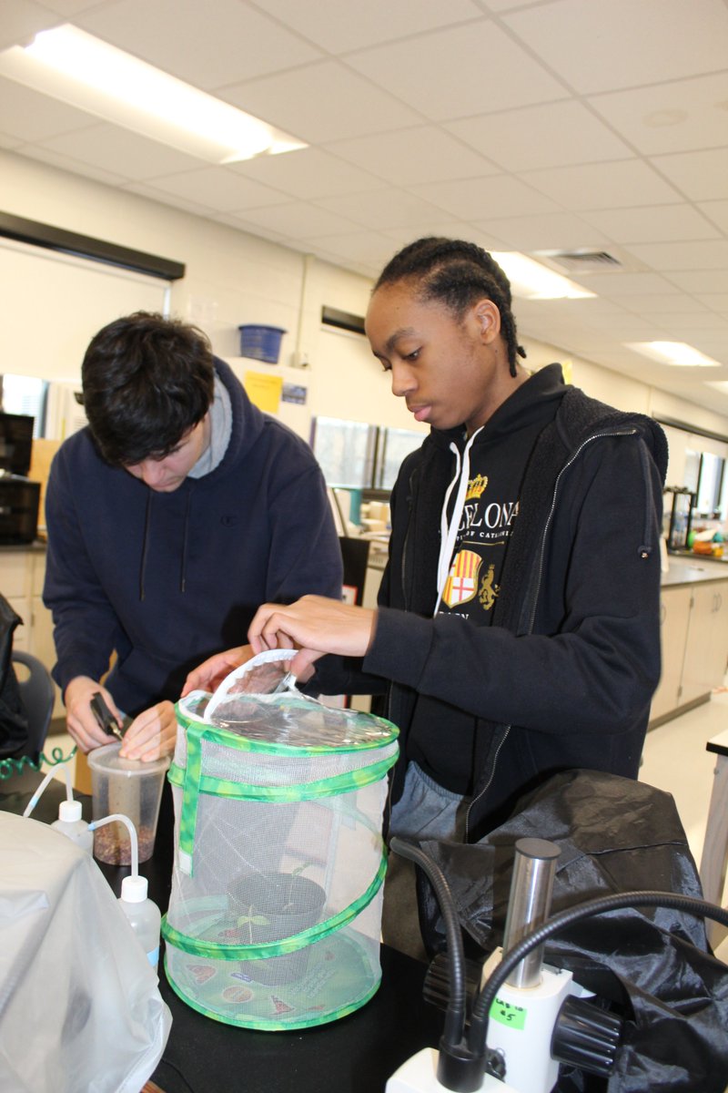JeanetteCollet1's tweet photo. Students working on their projects for the WAC invitational Science Fair @ResearchAssocLI  @CommackSchools  #WACLightingScienceFair2023
#CommackScienceResearch https://t.co/2jPb9I8Ln6