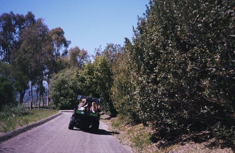 arabmadelynclin's tweet image. ✿ |مادلين كلاين مع اصدقائها 

- ⭐️
⌠ @madelyncline ⌡
• #madelyn , #maddie •