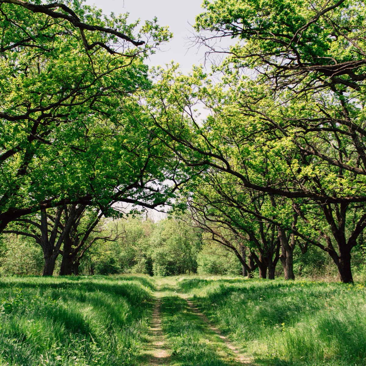 AblyApparel's tweet image. "It is spring again. The earth is like a child that knows poems by heart." — Rainer Maria Rilke

📸 @frostroomhead

#AblyApparel | #WhateverProof