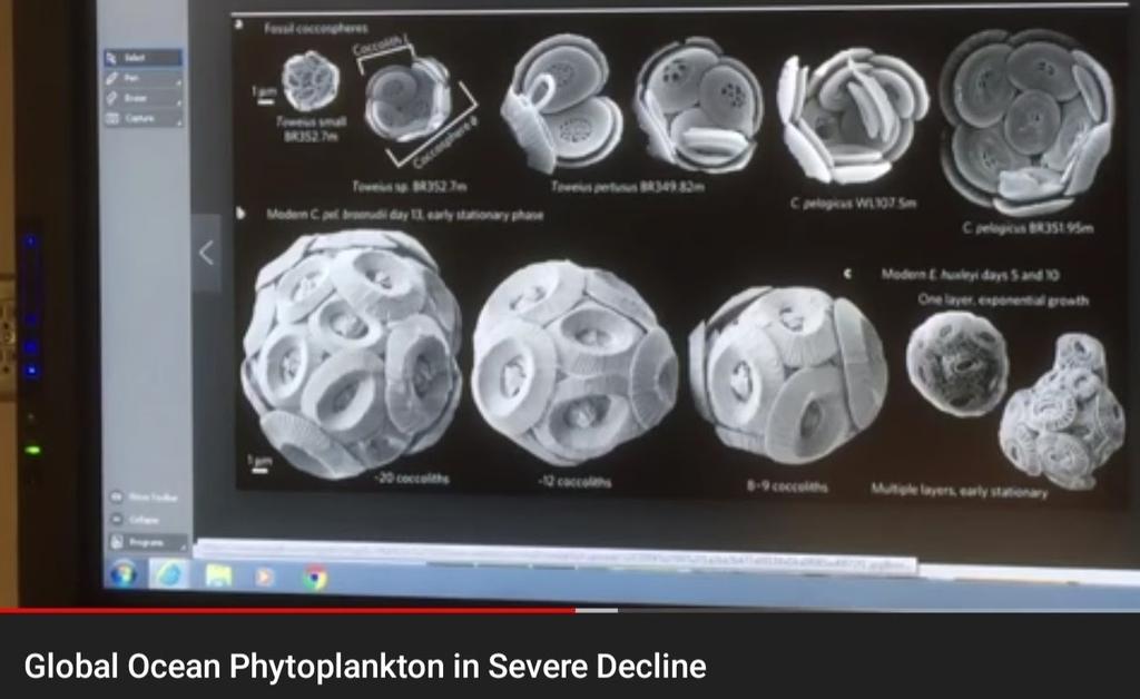 AdvLivingSys's tweet photo. @TonyClimate @climate_fact Today silica diatoms are being dissolved 10×faster than the PETM extinction from too much CO2 too fast also for #marinebiology's #calcium_carbonate, #aragonite #saturationpoint #pH: https://t.co/bMYSXyGZGZ

#ShellfishIndustry toast in 50yrs
Wing'it here: https://t.co/6nDGMn3Hqg https://t.co/TM0vHRFcY3
