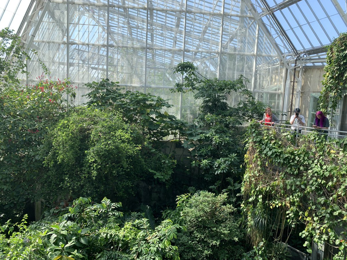 Ohio State ATI Greenhouse Program tweet media