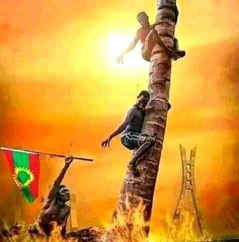 gumaaoro's tweet photo. #Ebla_15!!

ኦሮሙማን በጠንካራ አለት ላይ ለመትከል ለ150 አመታት እልፎች ስለ ነጻነታቸው የመተናነቅ ተጋድሎን አድርገዋል።
፡
ይሄ ትውልድ ብልሀትን ከሀጂ አደም ሳዶ፣እውቀትን ከሀይሌ ፊዳ፣ባሮ፡ቱምሳ፣ማሞ መዘምር፡፡ https://t.co/jZIobzsfkY