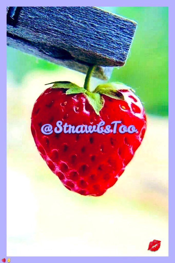 Strawbs 🍓💋 Backup tweet media