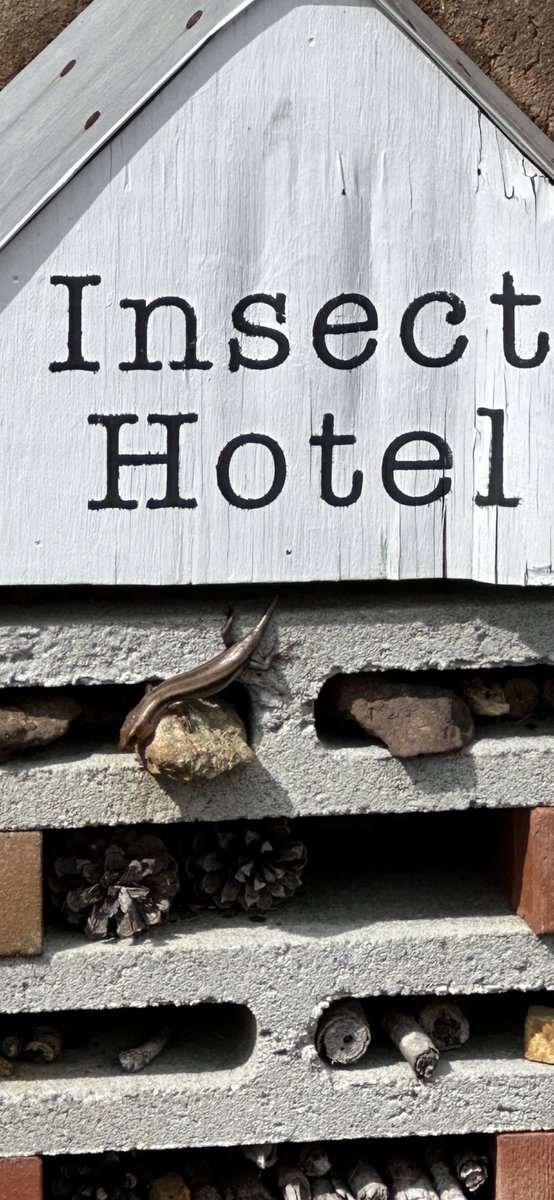 More creatures excited for GAB Earth Day! 😍 5 more days!