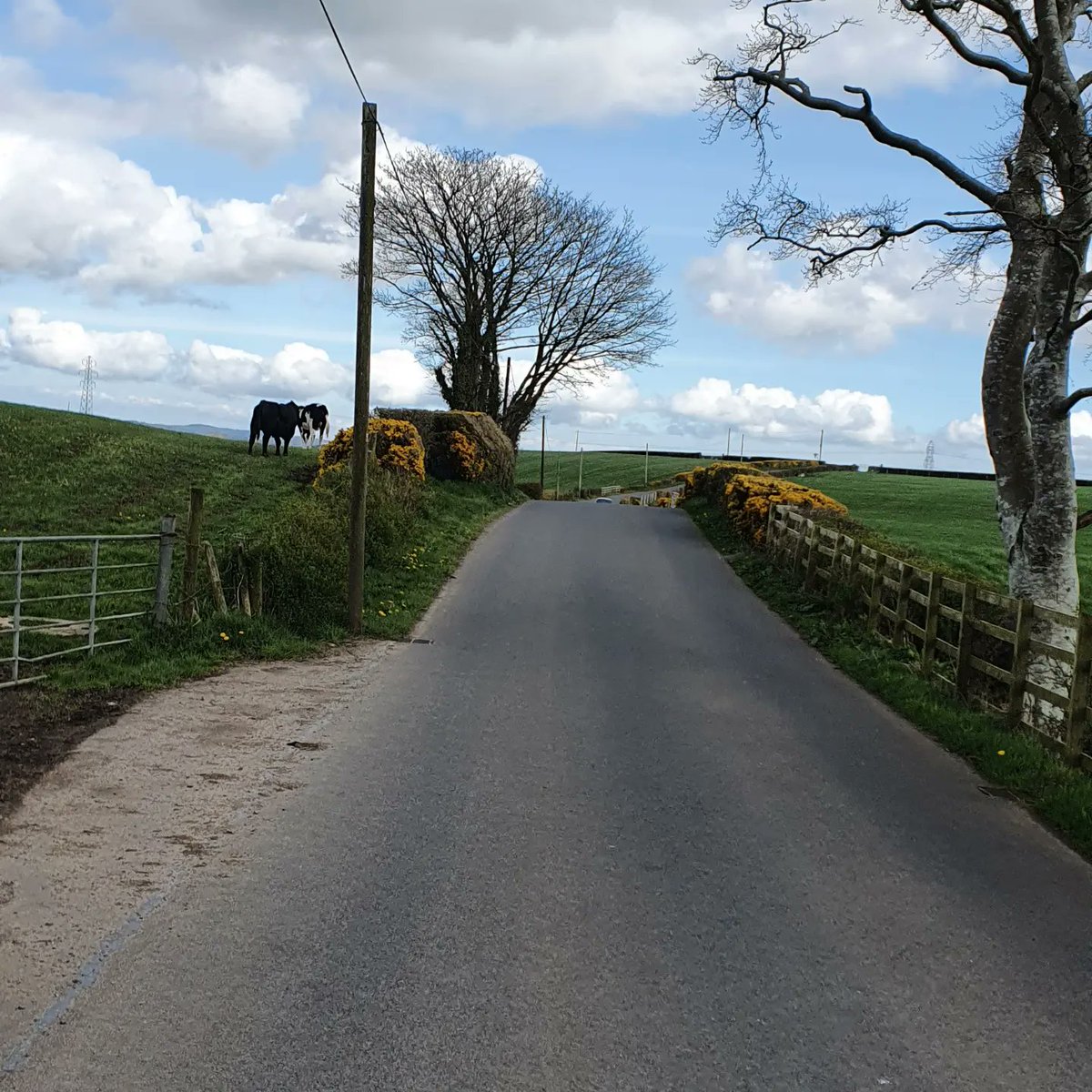 watsy82's tweet image. Final big run in the bank.
Another 5.2 miles to add on marathon day 🤪😱.

Time to recover and keep the legs moving before the big day.

justgiving.com/fundraising/ir…

#BelfastCityMarathon #cancerfundforchildren
@IrishFA