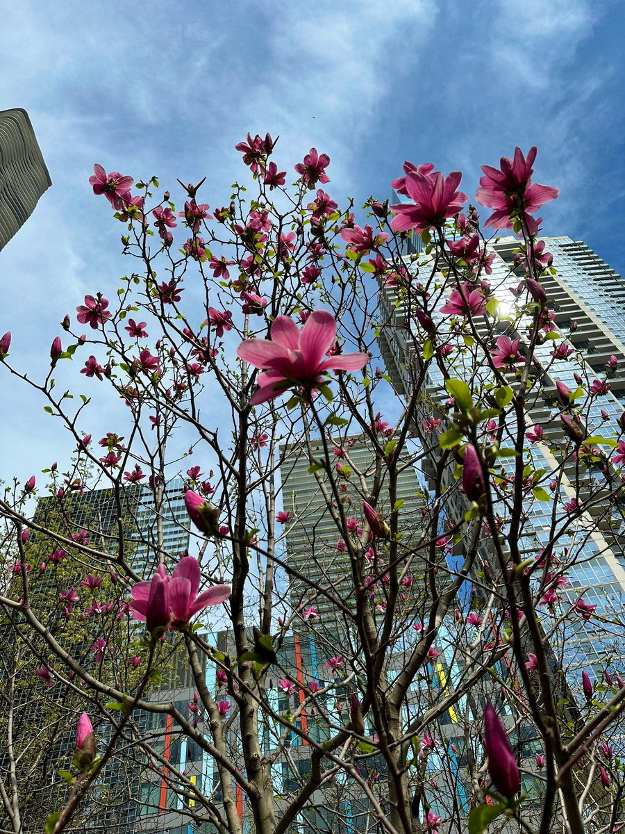 kailey mae ♡ tweet media