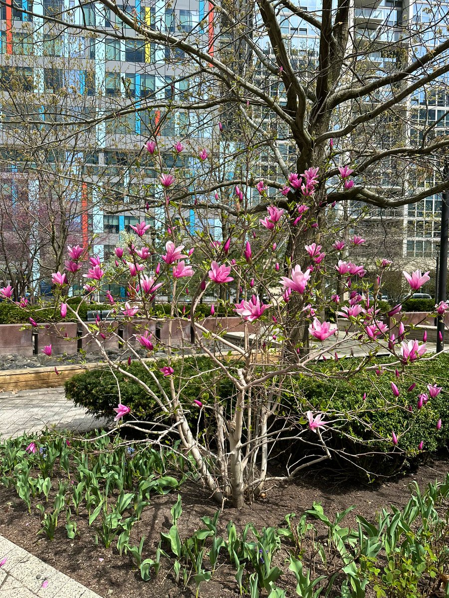 kailey mae ♡ tweet media